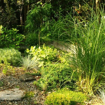 Big Hawk Lake garden