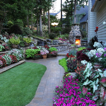 Mark's Backyard