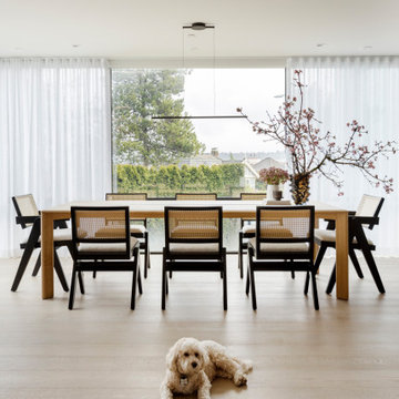 Contemporary City Renovation
