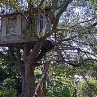 This is an example of a rustic garden in San Francisco with a climbing frame.