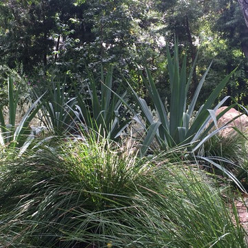 Mission Canyon