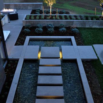 Modern Holly