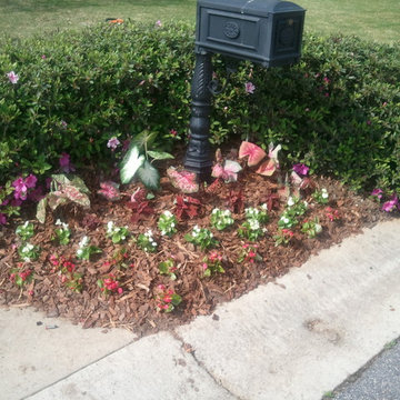 Annual Beds