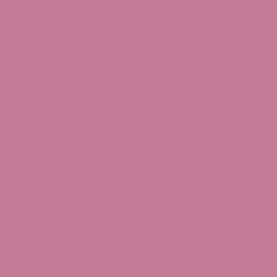 Cyclamen - Paint