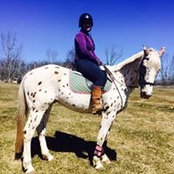 Allison Negron's photo