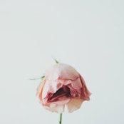 Haiyen Nguyen's photo
