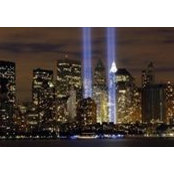 Stacey Stefanini's photo