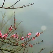 Misha Zhigurda's photo