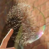 Antonella Galasso's photo