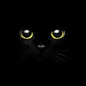 Terri Reed's photo