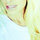 Mandy Zaron