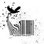 FedericO Mandelli's photo