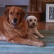 John Fahey's photo