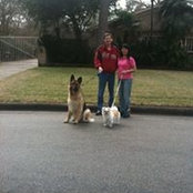 Stephen Barnes's photo