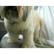 Joel Melton's photo