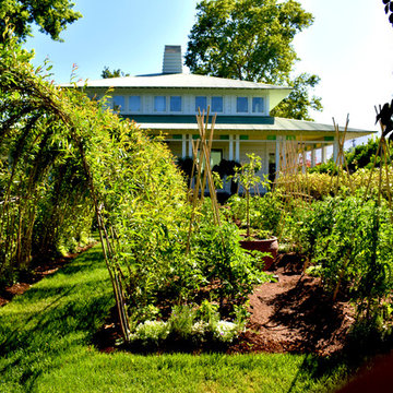 Vegetable Garden & Trellis