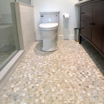 Transitional Guest Bath