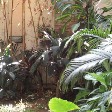 Amma, Chennai