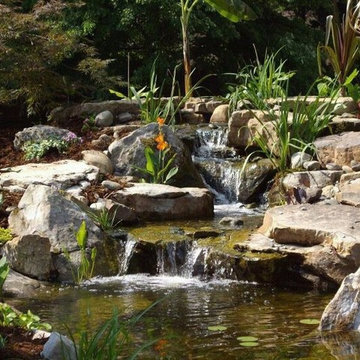 Pond builds