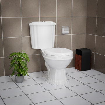 White Sheffield 2-Pc WaterSense Dual Flush Elongated Toilet with Slow Close Seat