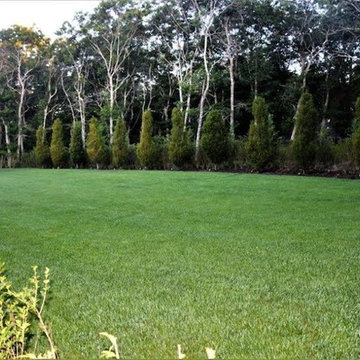 Landscape In the Hamptons