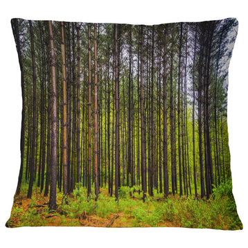 Pine Trees in Michaux Forest Modern Forest Throw Pillow, 18"x18"