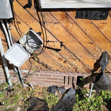 Termite Damage Is at it Again
