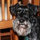 Kelly J. Aschenbach