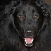 Brent Belote's photo