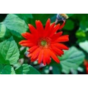 Cathy Coe's photo