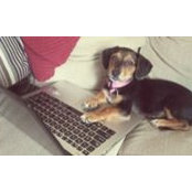 Heidi Fessler's photo