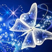 Barbara Herrit's photo