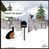 Elise Kauffman's photo