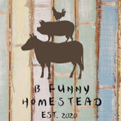B_Funny Homestead's photo