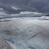 Joel Cox's photo