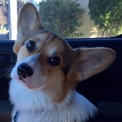 Jennifer Hart's photo