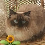 Marthine Savage's photo