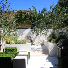 Elm Road Garden
