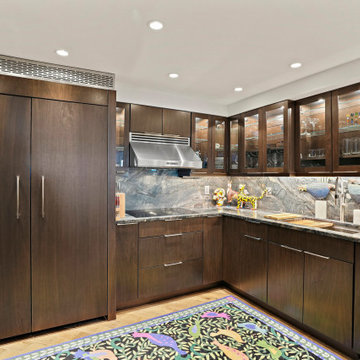 Modern Kitchen Design Washington, DC