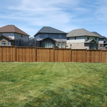 Pressure Treated Fences