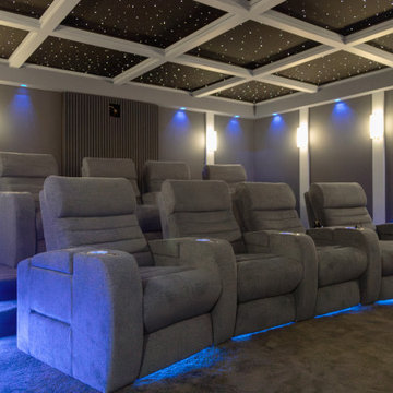 Holly Twp, Michigan - Home Theater for Musician