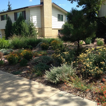 Xeric Front Yard Garden