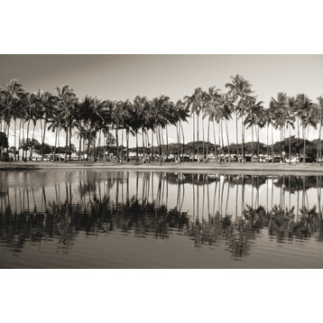 Hawaii  Oahu  Ala Moana Beach Park  Line Of Palm Trees And Reflections In Pond (