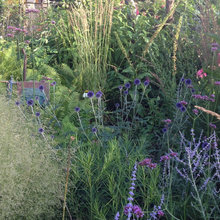 Beechgrove garden