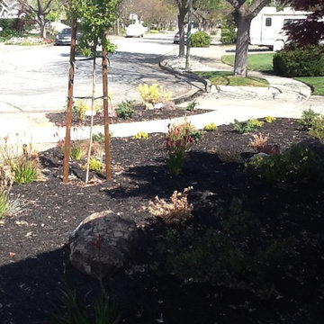 Lawn Conversion for an Entire Property
