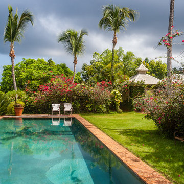 Tropical Pool