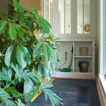 Plant Area Ideas
