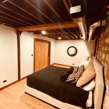 Basement Remodel