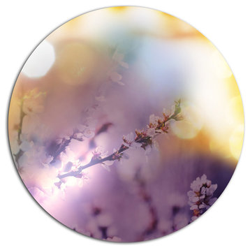 Flowers Of Cherry In Spring Garden, Floral Disc Metal Artwork, 36"