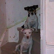 Foto von Caroline Benson